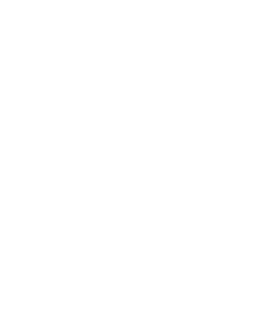 icon_safety